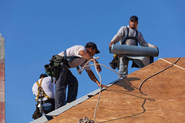 Best Metal Roofing Contractor  in Evanston, WY