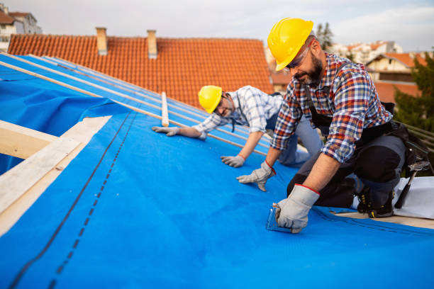 Best Roofing Contractor Near Me  in Evanston, WY